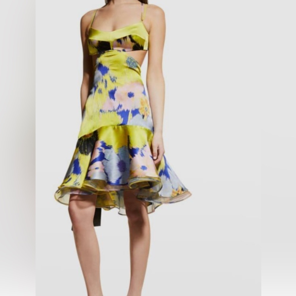 Silvia Tcherassi Yellow and Blue Asymmetrical Midi Dress